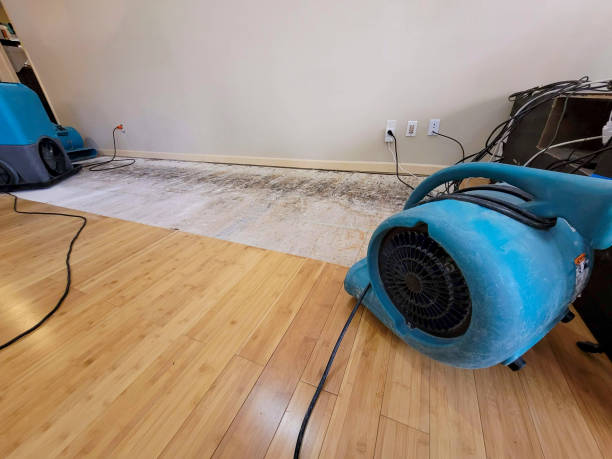 Professional Basement Flood Cleanup technician working in Racine, MN